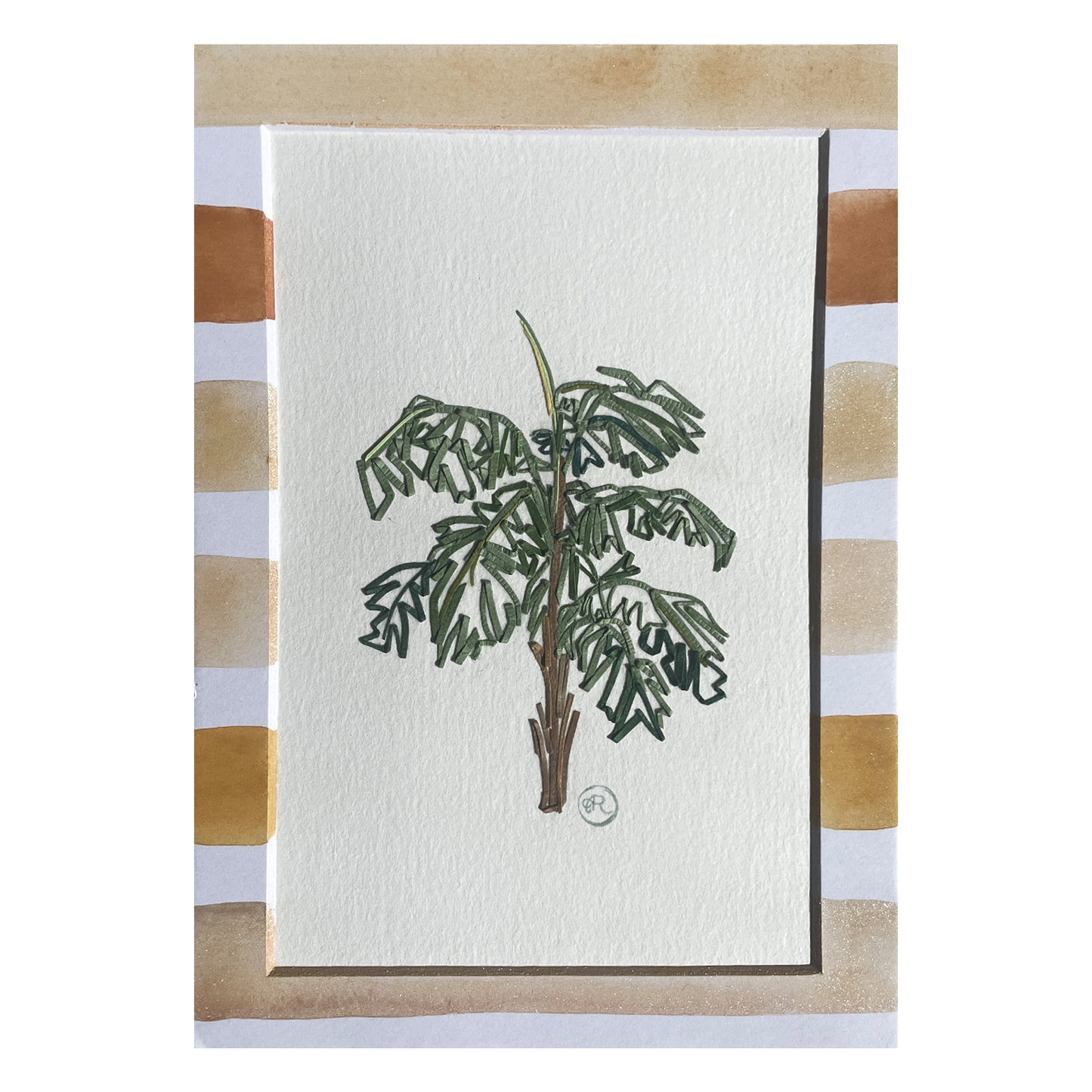 Aiphanes Palm