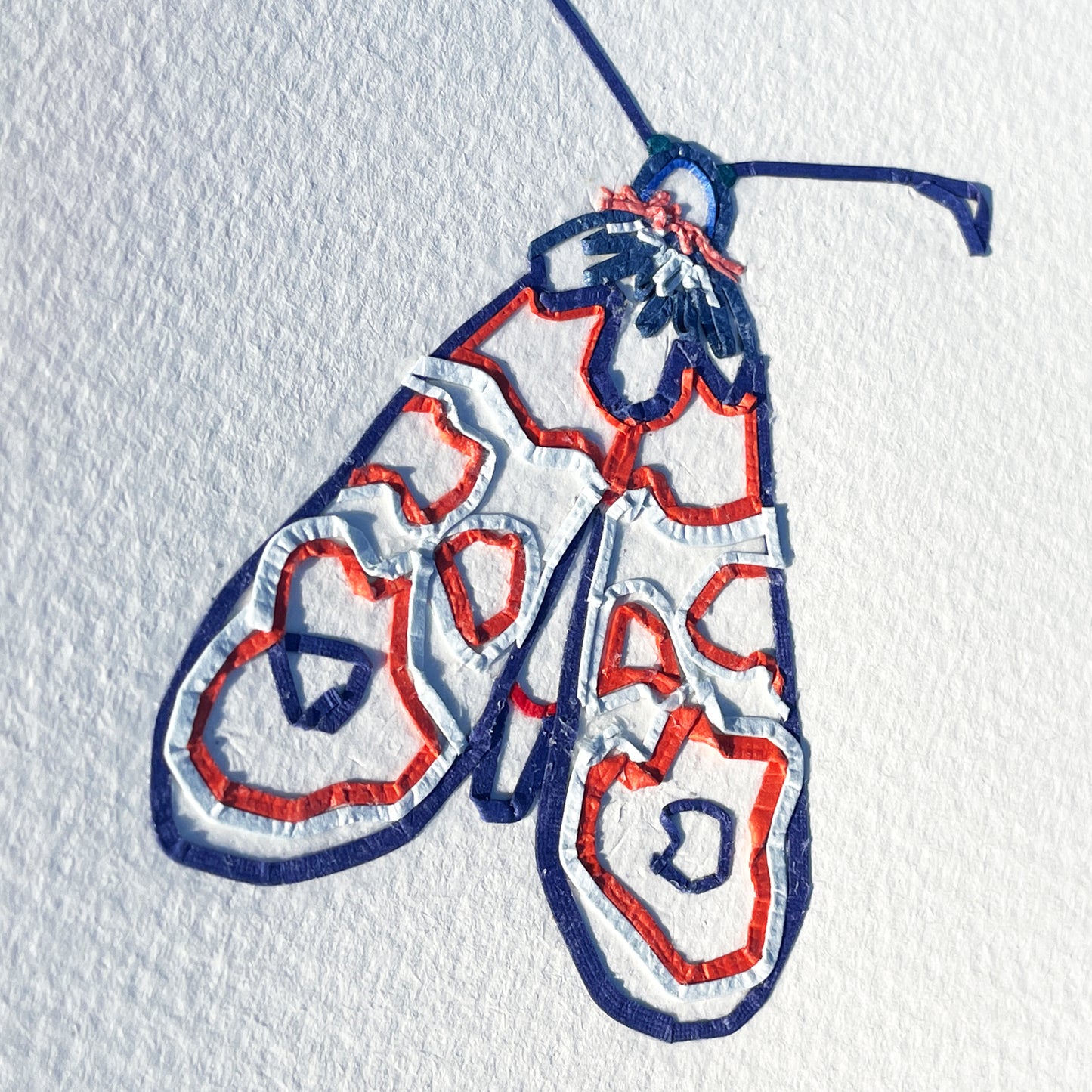 Burnet Moth