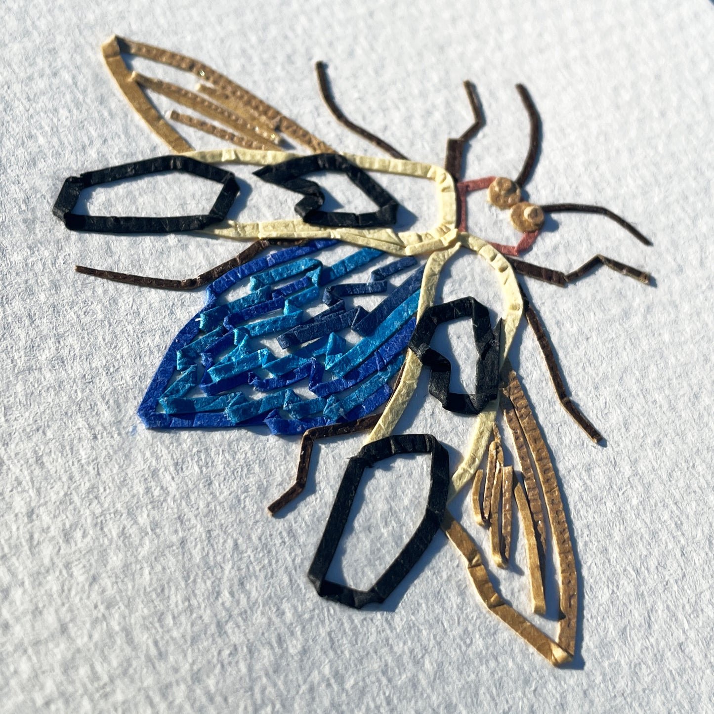 Chrysochroa