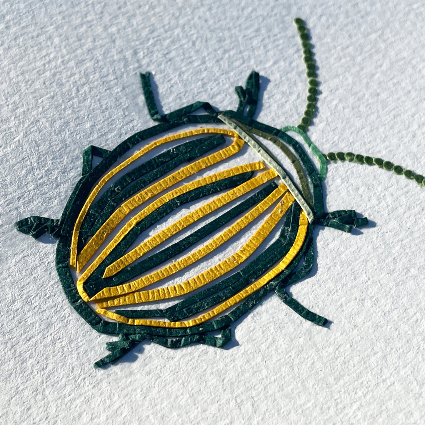 Chrysomelinae