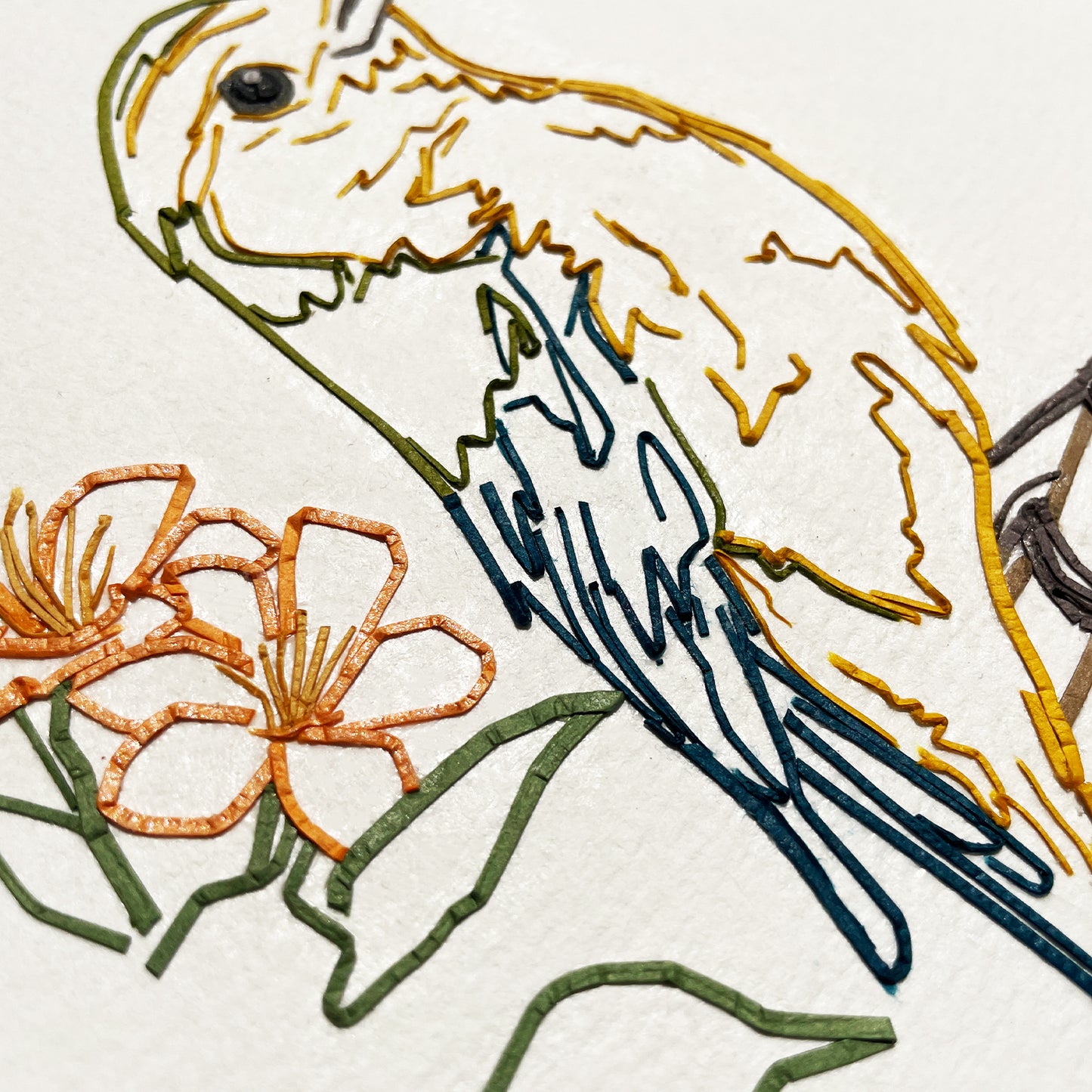 Cochabamba Mountain Finch