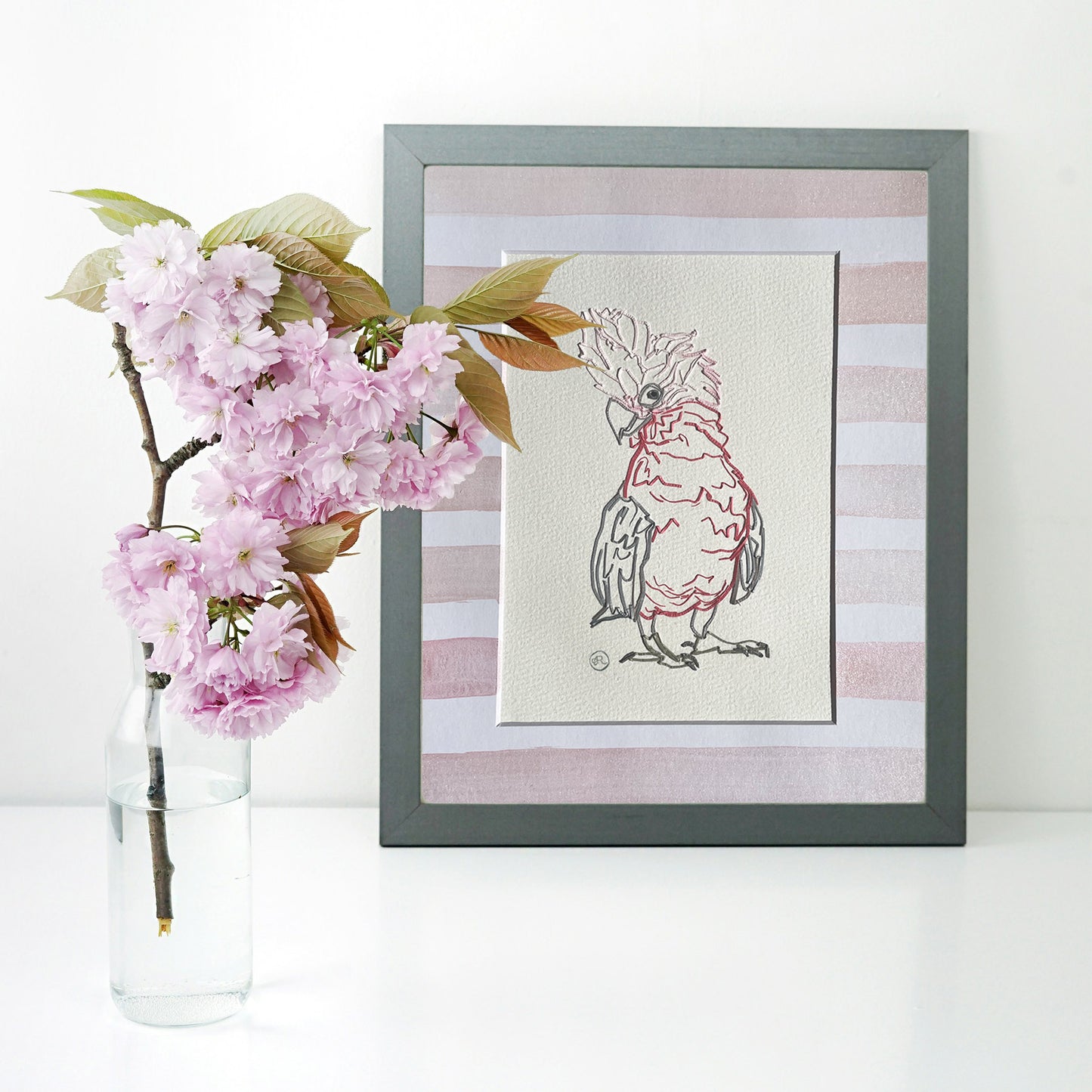 Galah Cockatoo