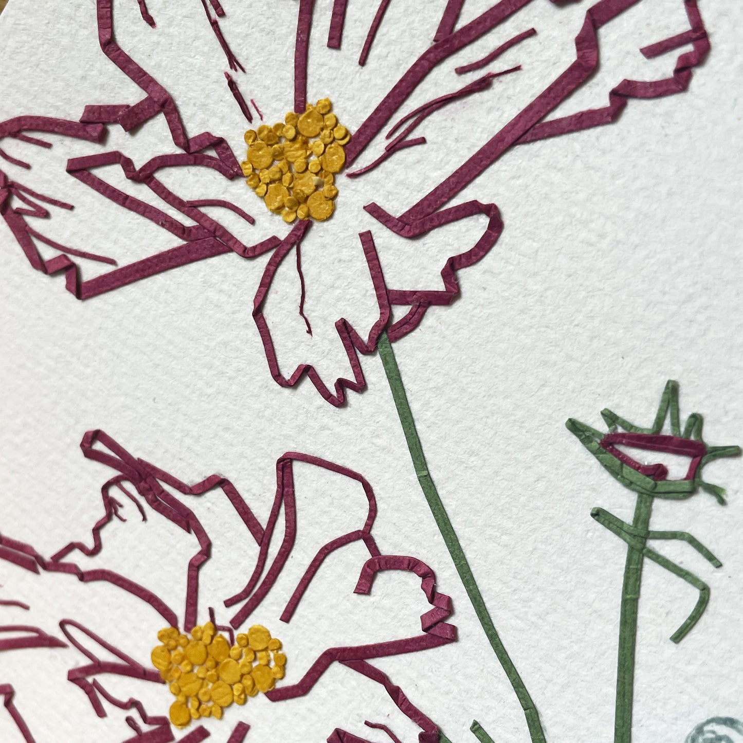 Cosmos