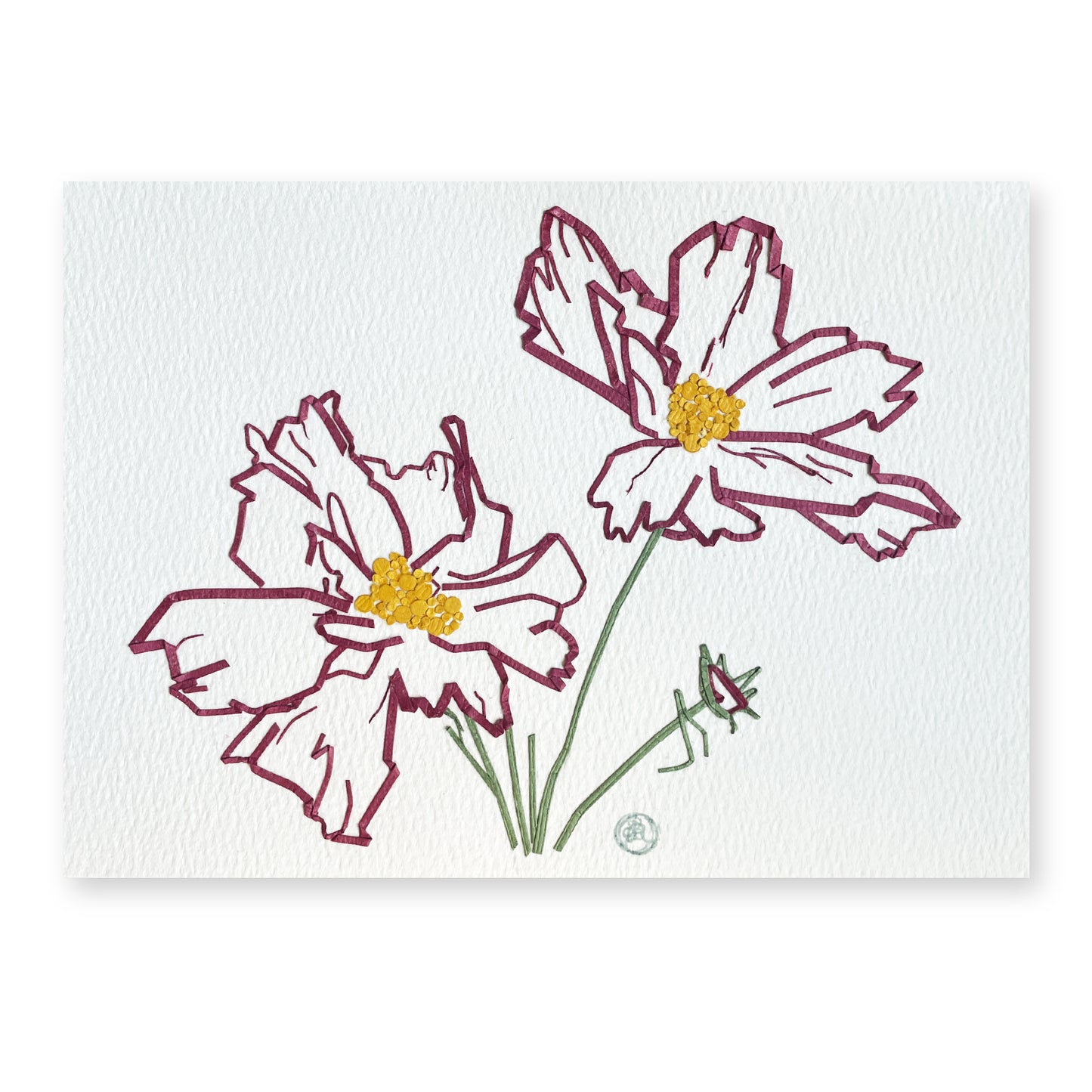 Cosmos