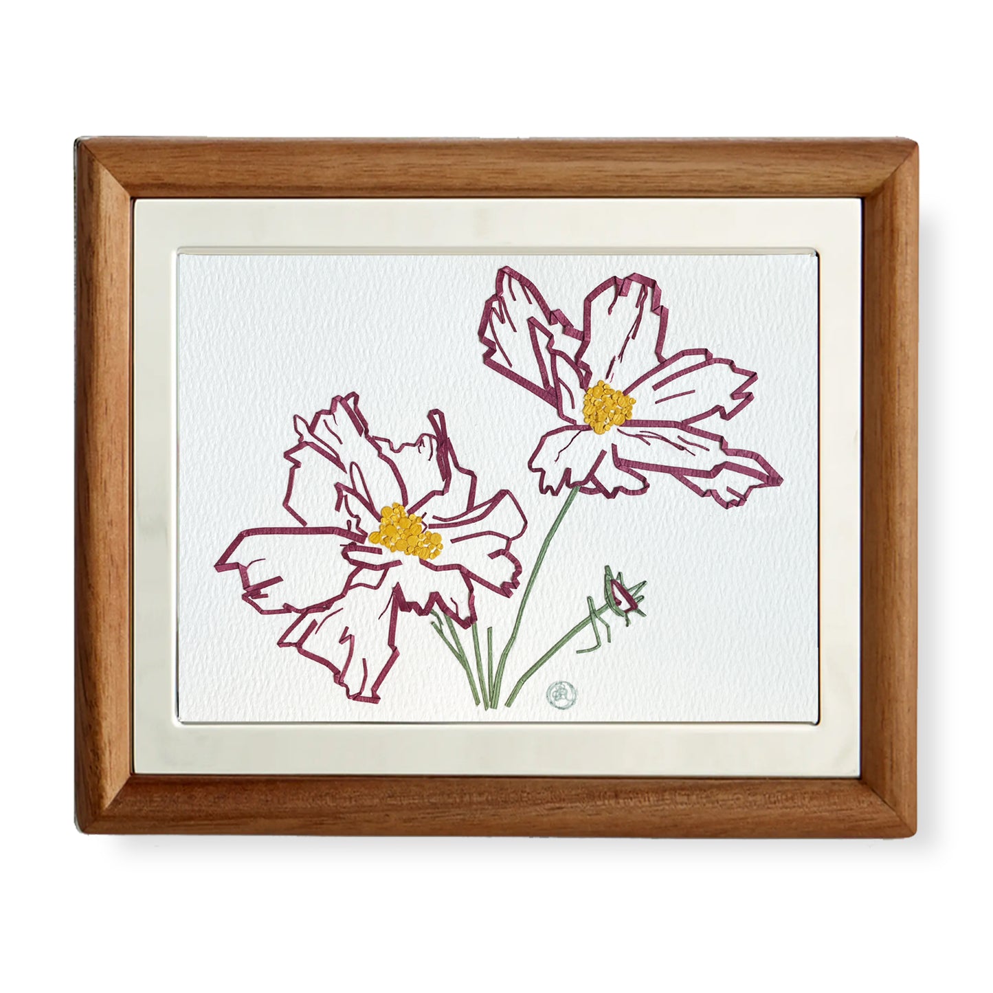 Cosmos