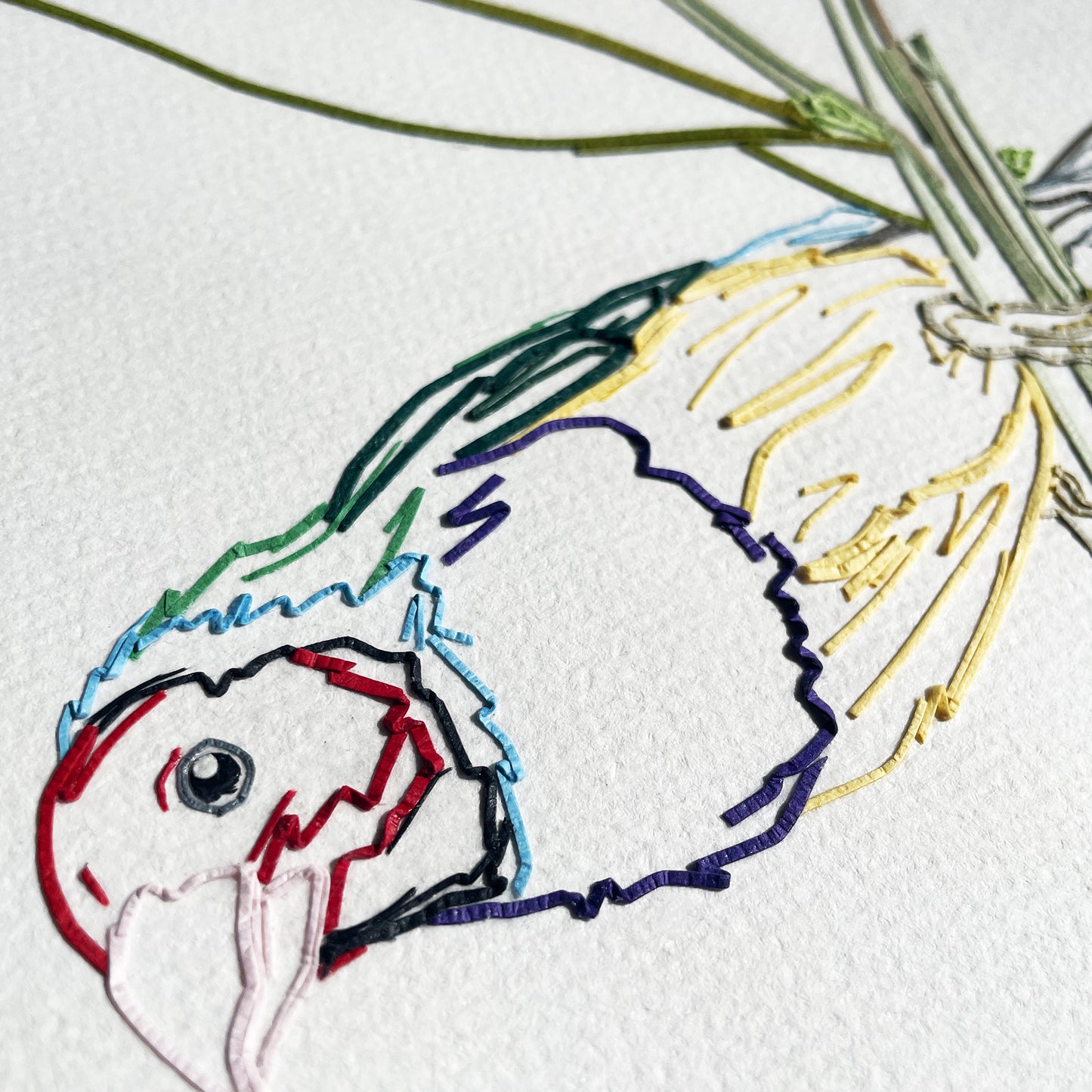 Gouldian Finches