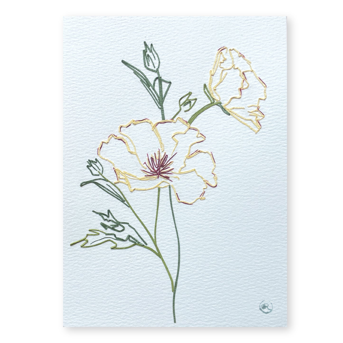 Icelandic Poppies