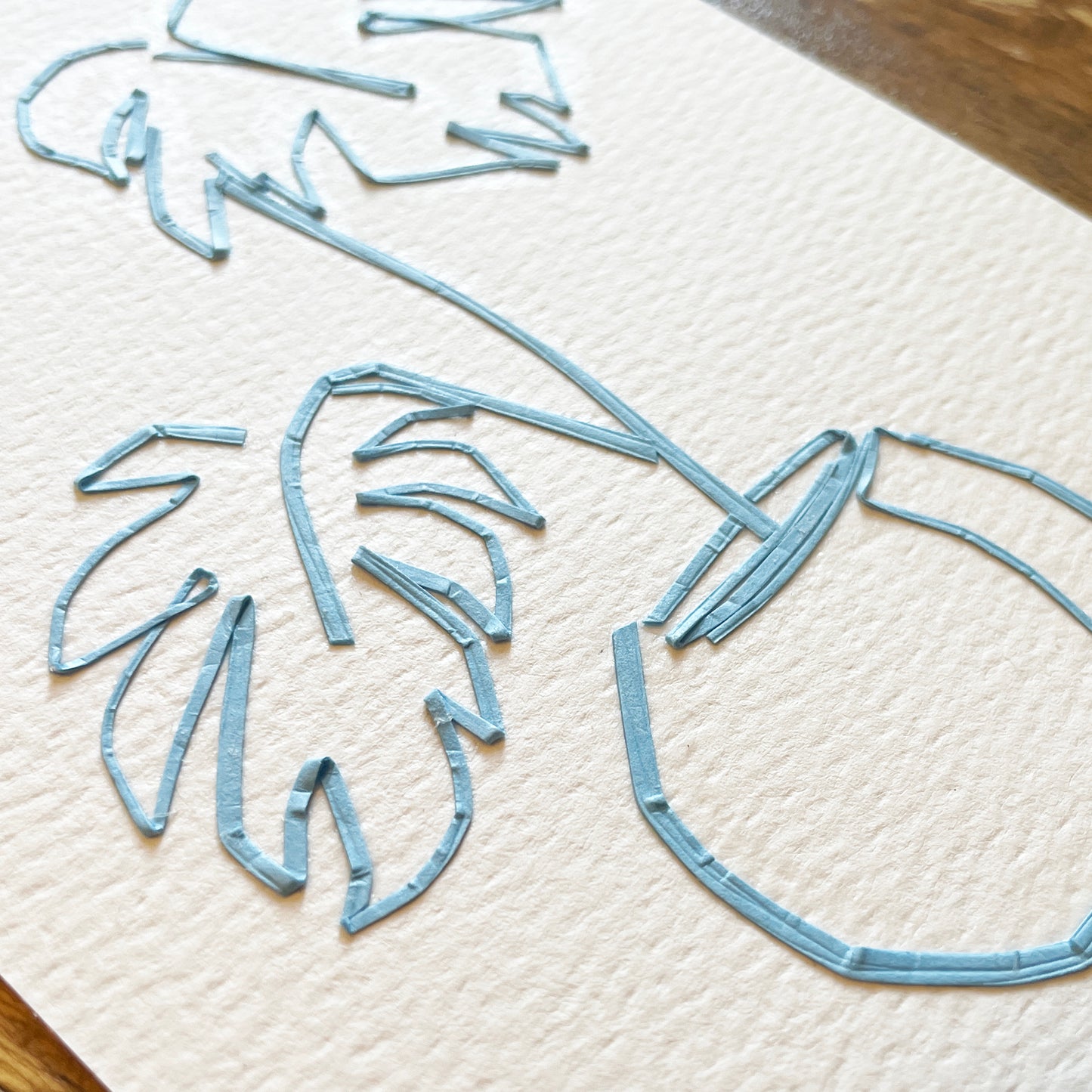 Monstera