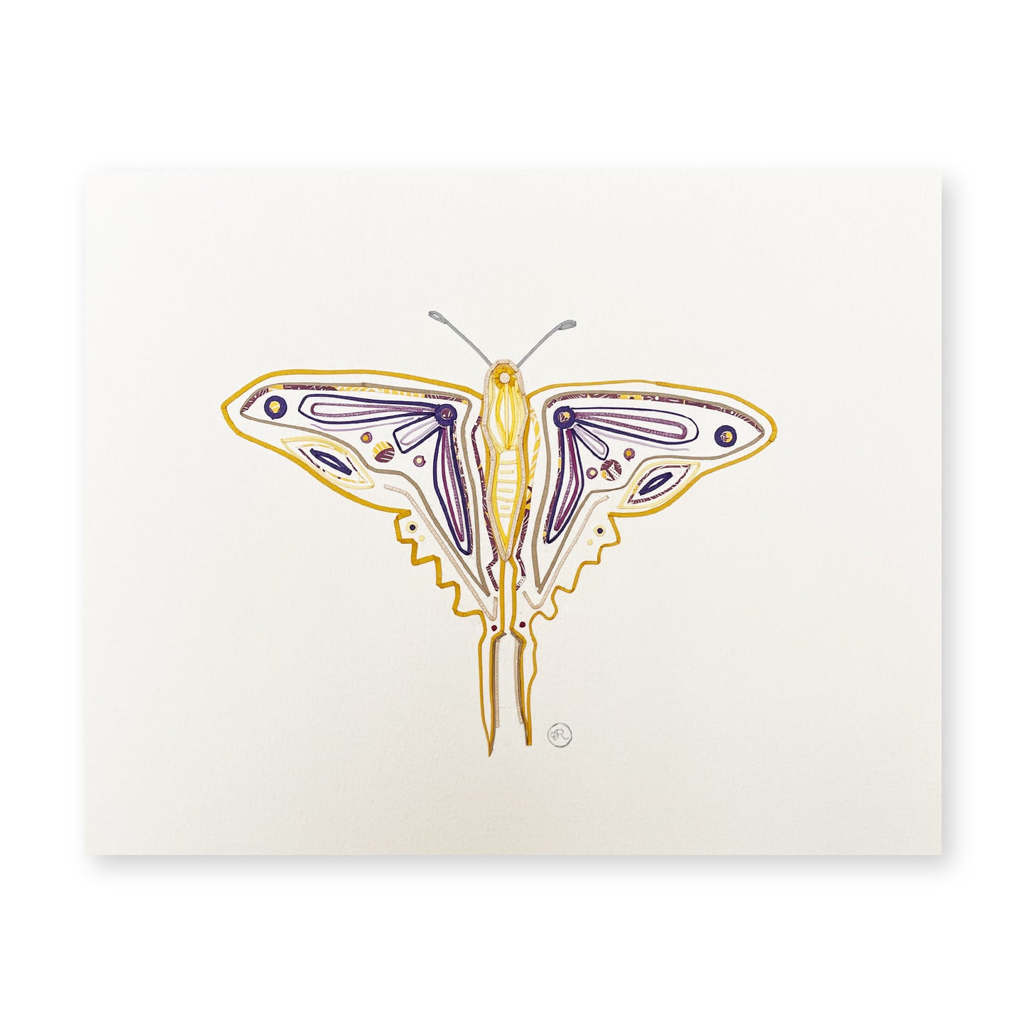 Marcellus Butterfly