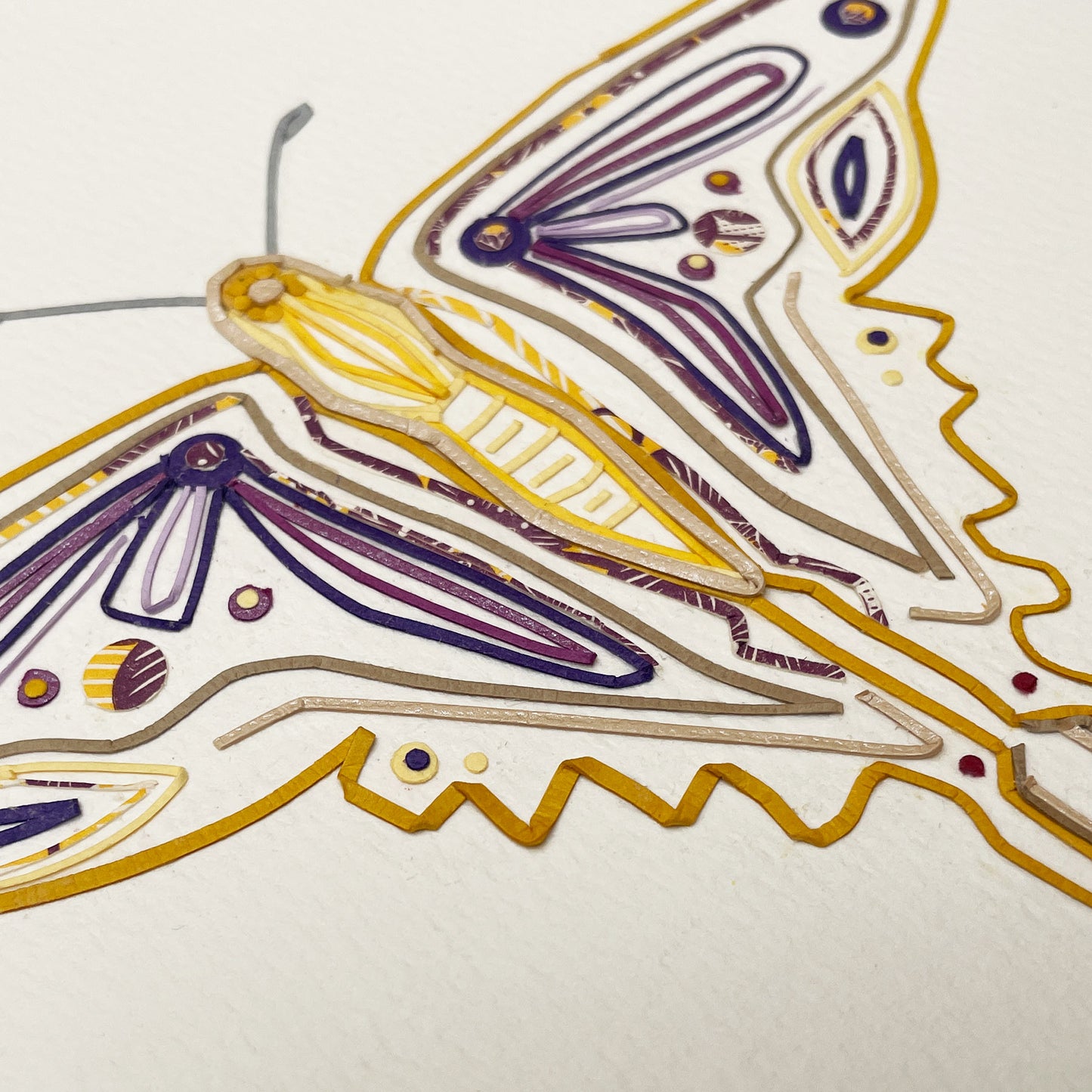 Marcellus Butterfly