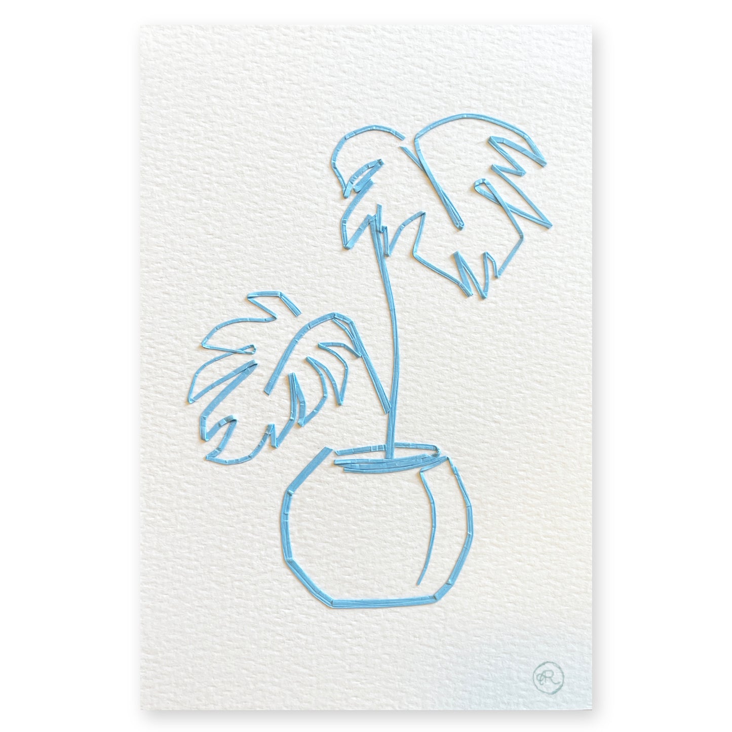 Monstera