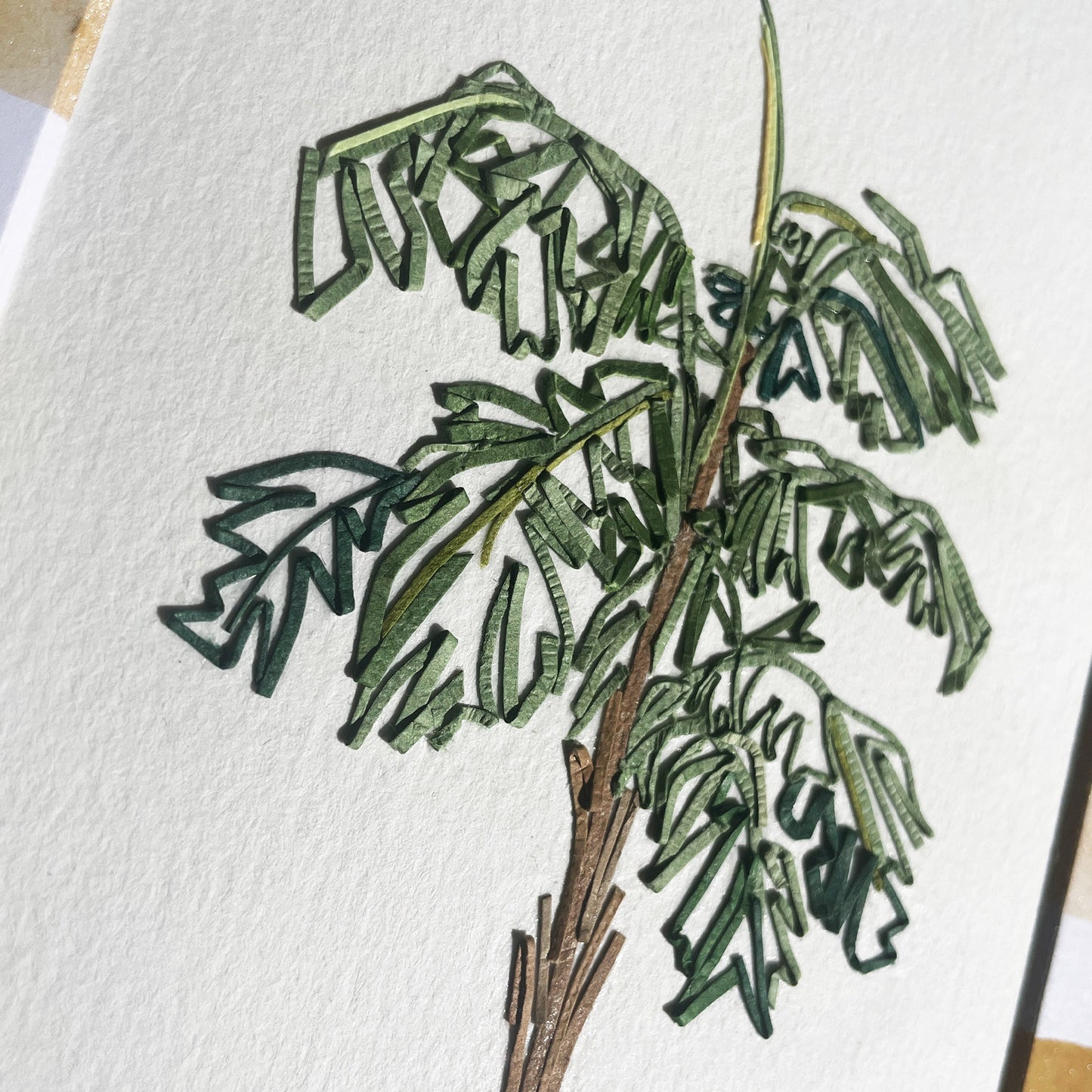 Aiphanes Palm