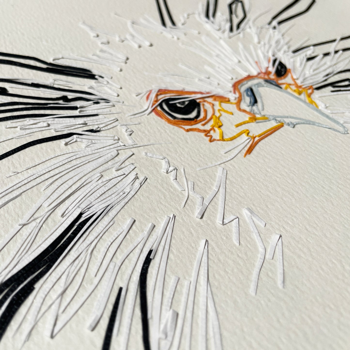 Secretarybird