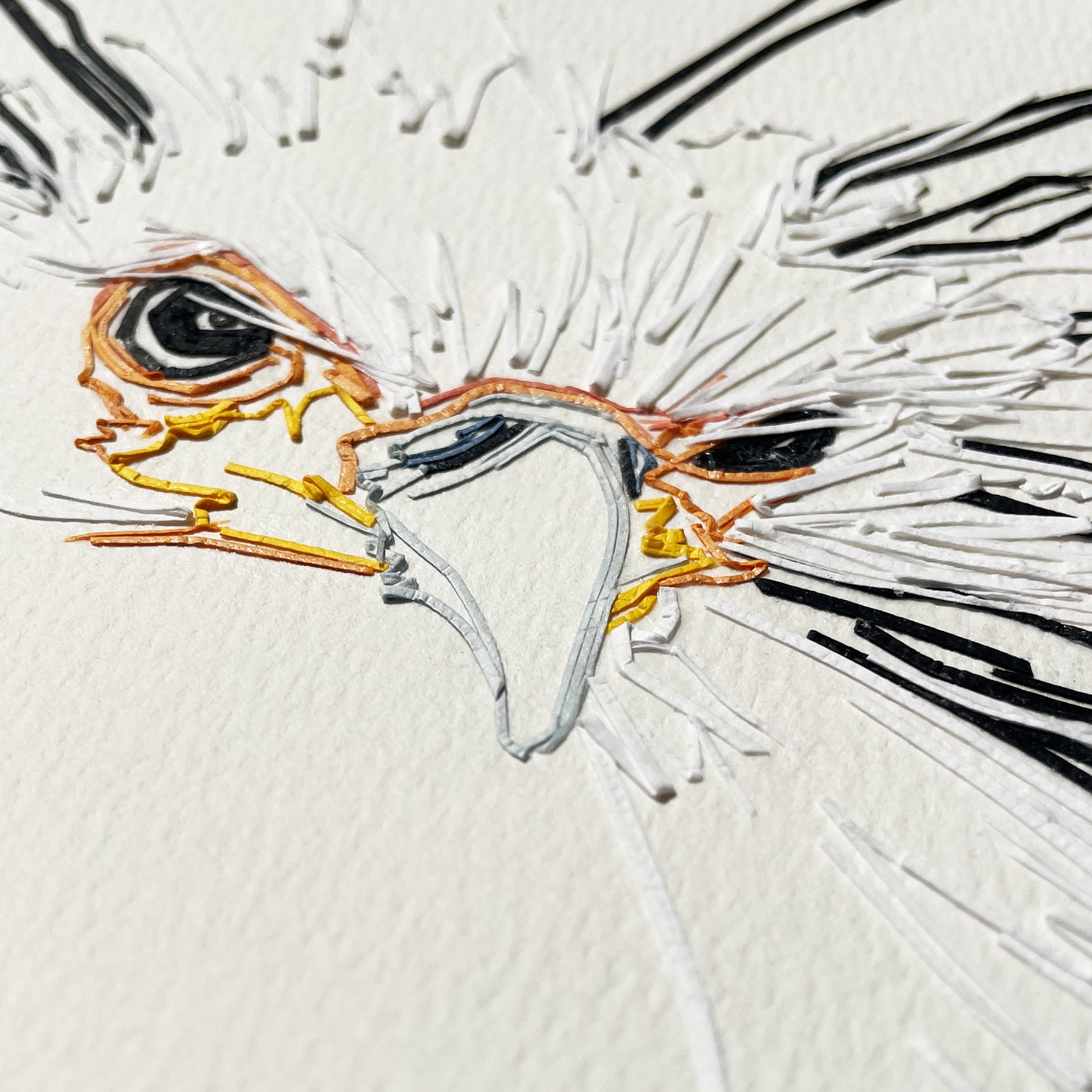 Secretarybird