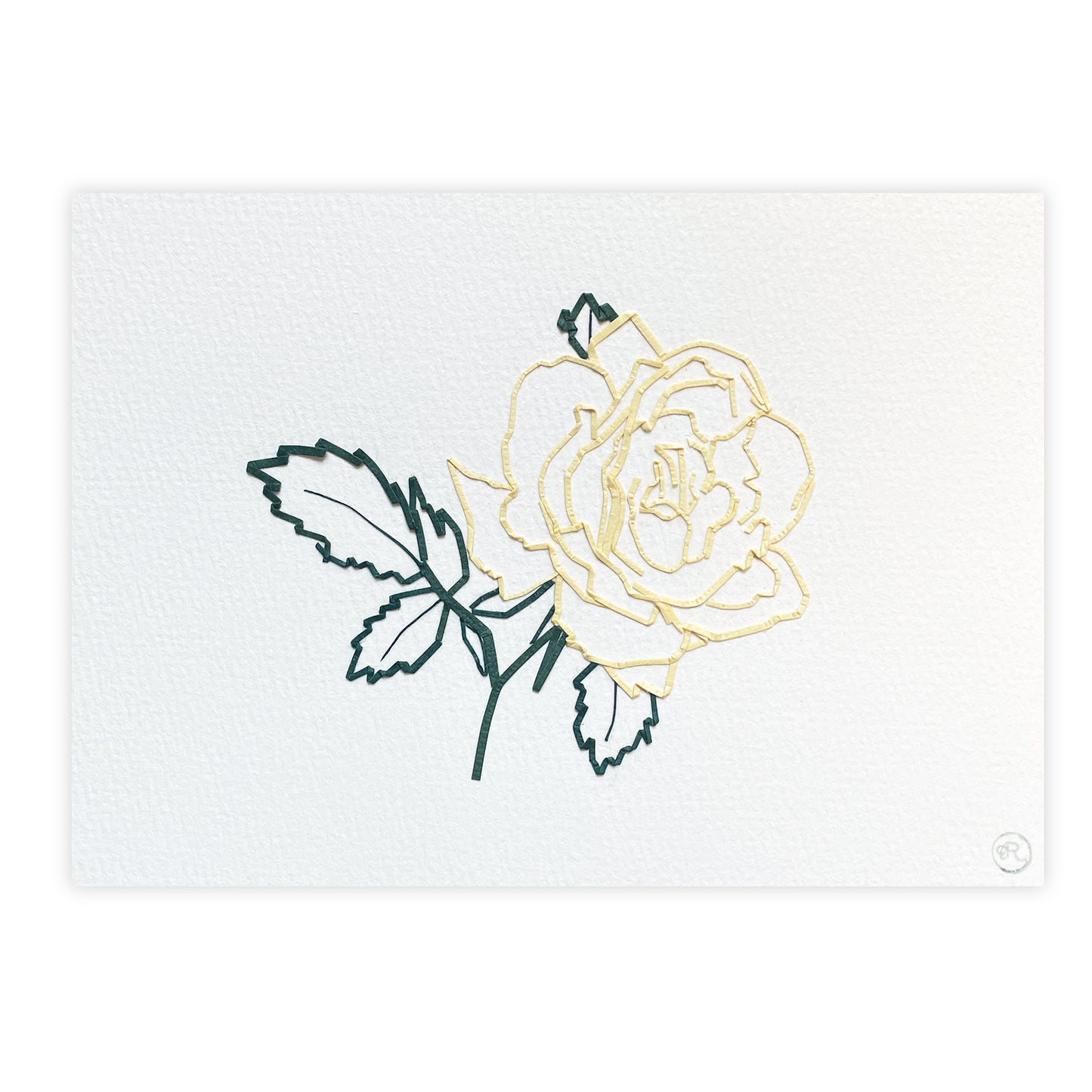 Single Rose