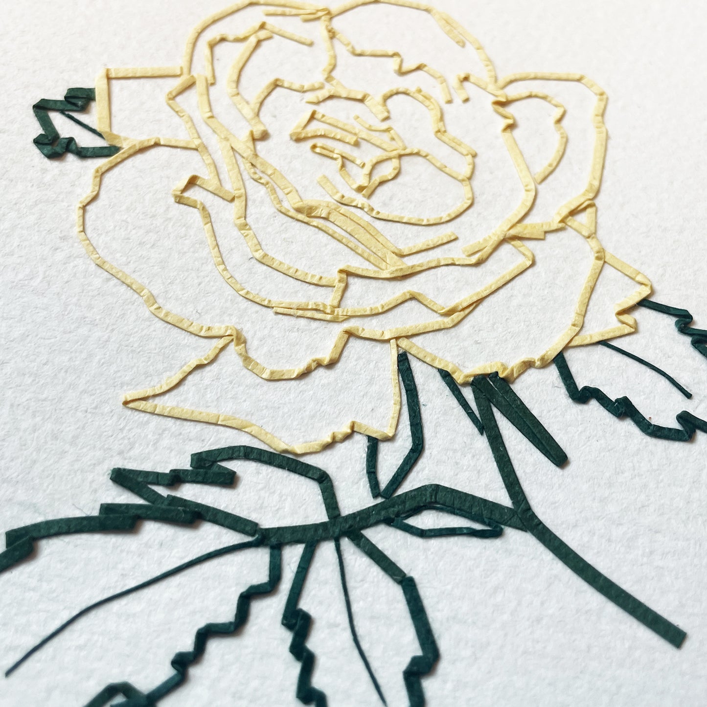 Single Rose