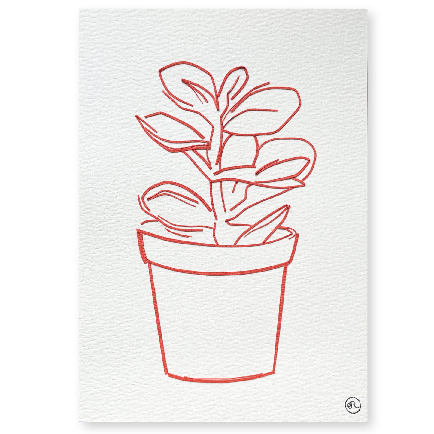Succulent 2