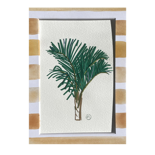 Small Palm