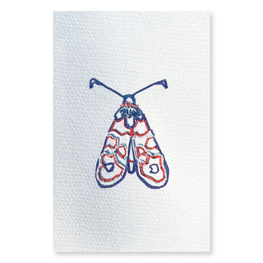 Burnet Moth