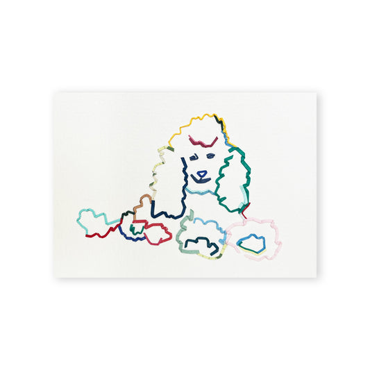 Rainbow Poodle